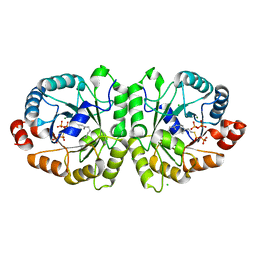 BU of 3vkb by Molmil