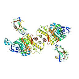 BU of 3vkf by Molmil