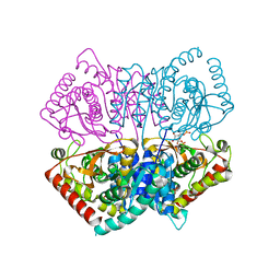 AU of 3vkv by Molmil