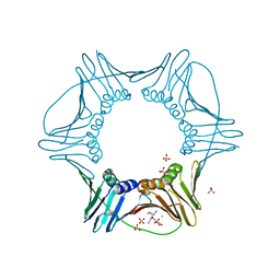 BU of 3vkx by Molmil