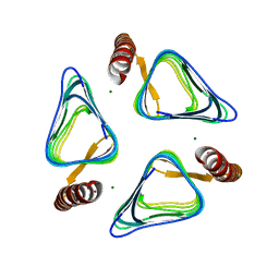 BU of 3vnp by Molmil