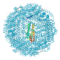 BU of 3vnx by Molmil