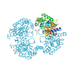 BU of 3vp1 by Molmil