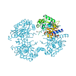 BU of 3vp2 by Molmil