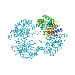 BU of 3vp3 by Molmil