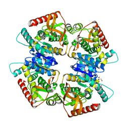 BU of 3vpg by Molmil