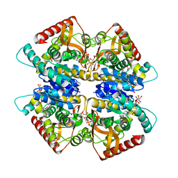 BU of 3vph by Molmil