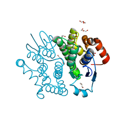 BU of 3vpt by Molmil