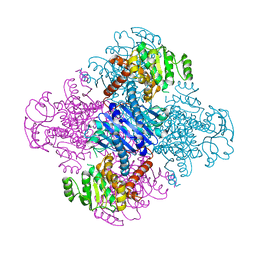 BU of 3vpx by Molmil