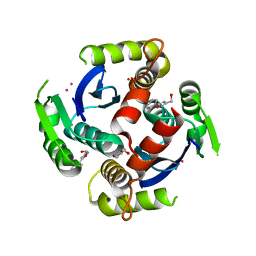 BU of 3vq4 by Molmil