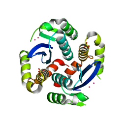 BU of 3vq7 by Molmil