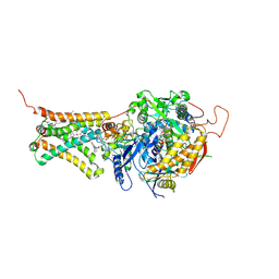 BU of 3vrb by Molmil