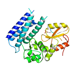 BU of 3vrp by Molmil