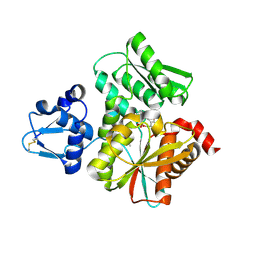 BU of 3vsa by Molmil