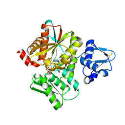 BU of 3vsc by Molmil