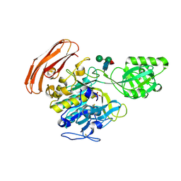 BU of 3vta by Molmil