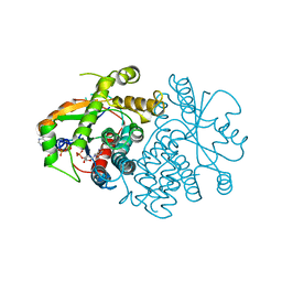 BU of 3vtk by Molmil