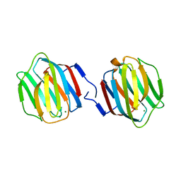 BU of 3vv1 by Molmil