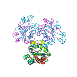 BU of 3vvt by Molmil