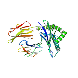 BU of 3vxo by Molmil