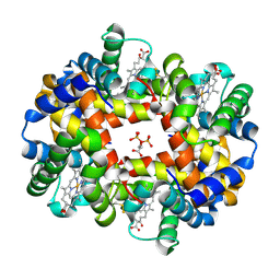 BU of 3wcp by Molmil