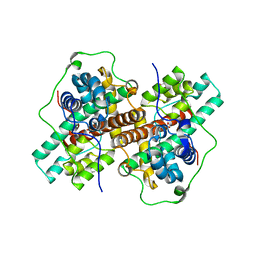 BU of 3wj8 by Molmil