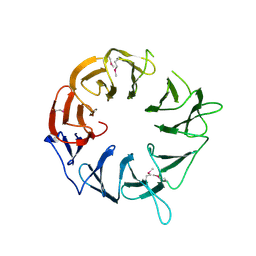 BU of 3wj9 by Molmil