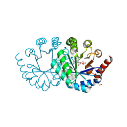 BU of 3wk2 by Molmil