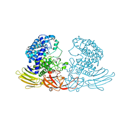 BU of 3wrf by Molmil