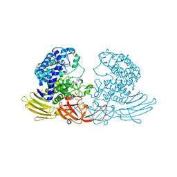 BU of 3wrf by Molmil