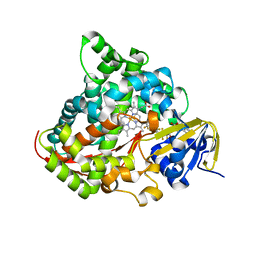 BU of 3wsp by Molmil