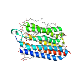 AU of 3wta by Molmil