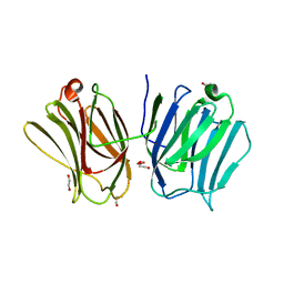 BU of 3wv6 by Molmil