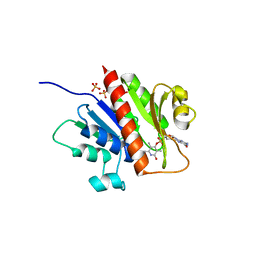 BU of 3wv9 by Molmil