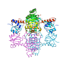 AU of 3wwy by Molmil