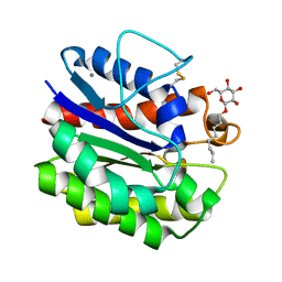 AU of 3x0h by Molmil