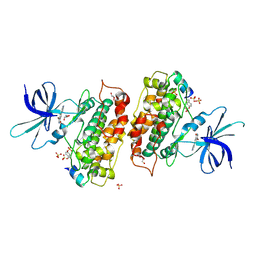 BU of 3zrl by Molmil