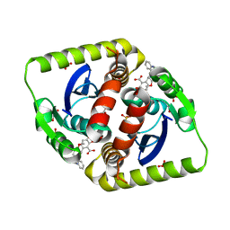 BU of 3zt1 by Molmil