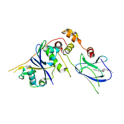 BU of 3ztc by Molmil