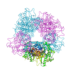 BU of 4a3y by Molmil