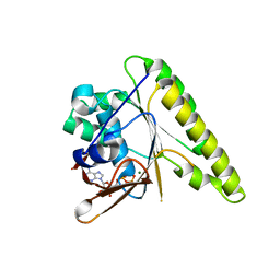 AU of 4a7o by Molmil