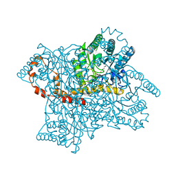 BU of 4a8i by Molmil