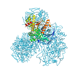 BU of 4ab1 by Molmil