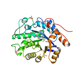 BU of 4ab4 by Molmil