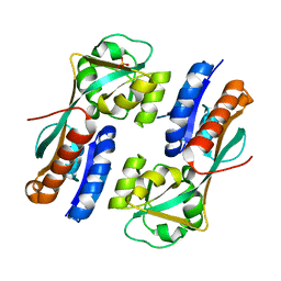 BU of 4ab6 by Molmil