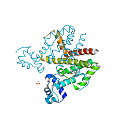 BU of 4ac0 by Molmil