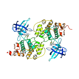 BU of 4acc by Molmil