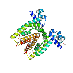 BU of 4aci by Molmil