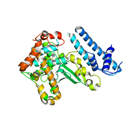 BU of 4aco by Molmil