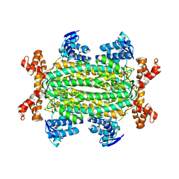 BU of 4adm by Molmil